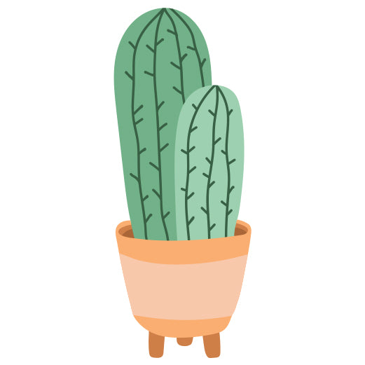 san pedro cactus drawing San Pedro Cactus
