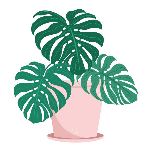 Monstera Plant Pink Pot | Print & Cut File