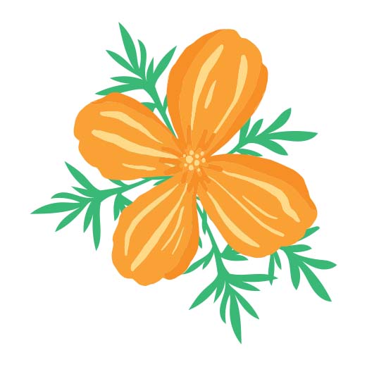 Orange Poppy Flower | Print & Cut File