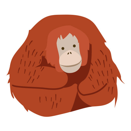 Orangutan | Print & Cut File