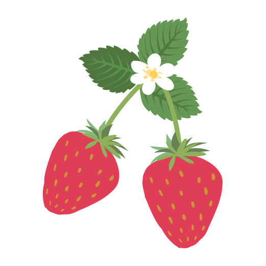 Strawberry Duo | Print & Cut File