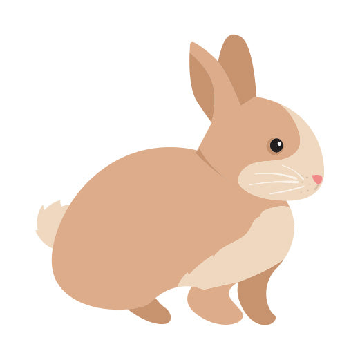 Tan Bunny | Print & Cut File